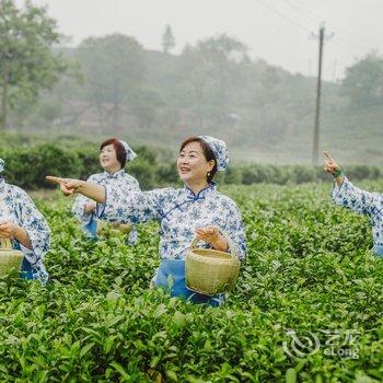 信阳紫盈茶园酒店酒店提供图片