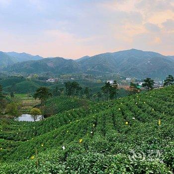 信阳紫盈茶园酒店酒店提供图片