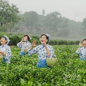 信阳紫盈茶园酒店酒店提供图片