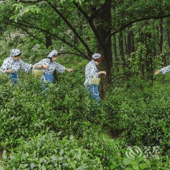 信阳紫盈茶园酒店酒店提供图片