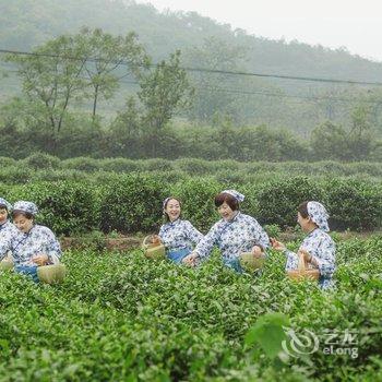 信阳紫盈茶园酒店酒店提供图片