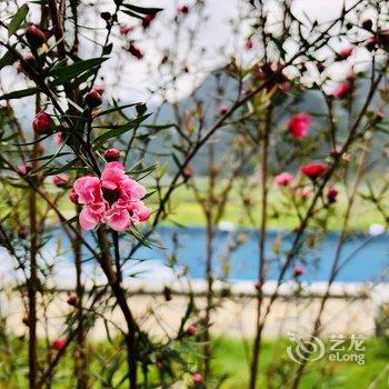 花筑·兴义朴墅民宿酒店提供图片