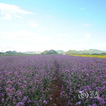 罗平四季花海酒店酒店提供图片