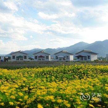 罗平四季花海酒店酒店提供图片