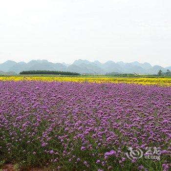 罗平四季花海酒店酒店提供图片