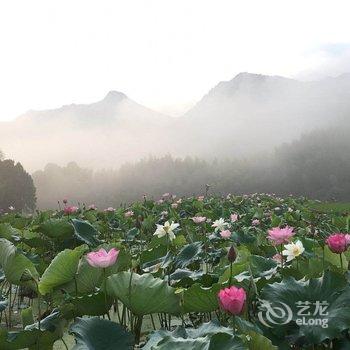 三明飘泊公寓(13号店)酒店提供图片