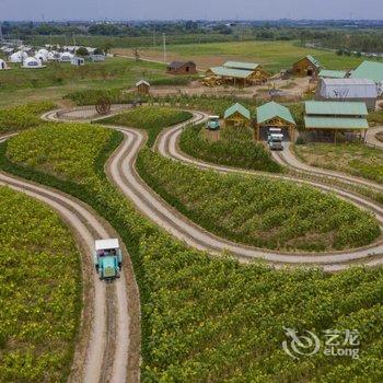 无锡疯狂拖拉机农场牛路野营田野营地酒店提供图片