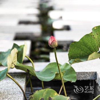 隐居蓬莱酒店酒店提供图片