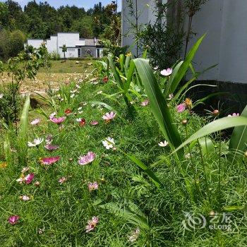 九华山遇见花开客栈酒店提供图片