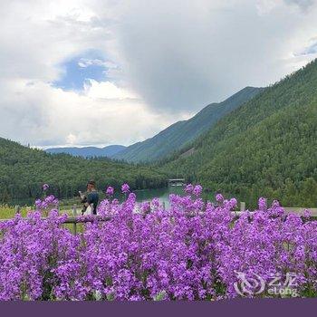 喀纳斯千里马山庄酒店提供图片