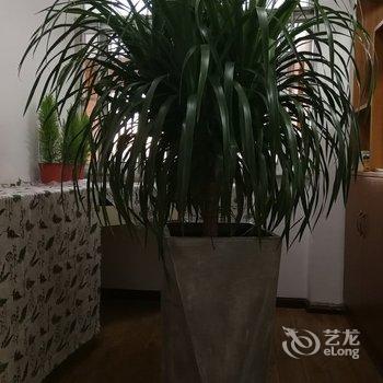 曲靖爨隐民宿酒店提供图片