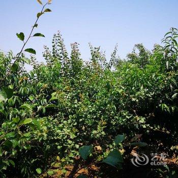 锦州机器猫的小熊特色民宿(2号店)酒店提供图片