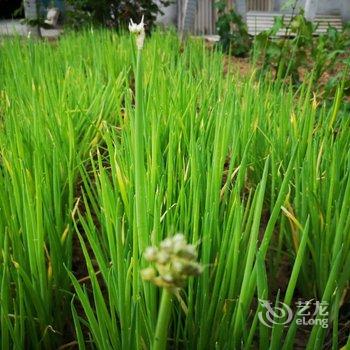 锦州机器猫的小熊特色民宿(2号店)酒店提供图片