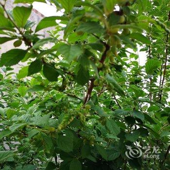 锦州机器猫的小熊特色民宿(2号店)酒店提供图片