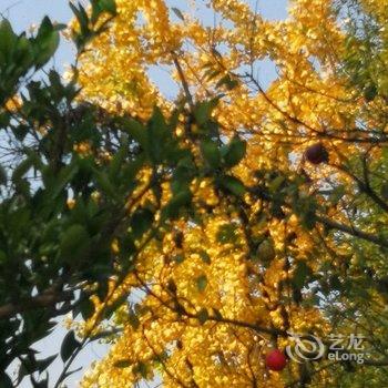 天目湖缘来小家民宿酒店提供图片