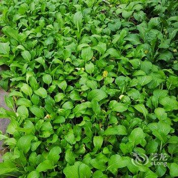 天目湖缘来小家民宿酒店提供图片