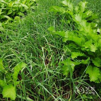 天目湖缘来小家民宿酒店提供图片