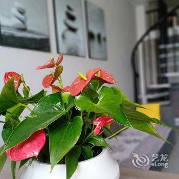 牡丹江喵小姐的望江公寓酒店提供图片