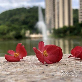 客新精品民宿(梅州富力城店)酒店提供图片