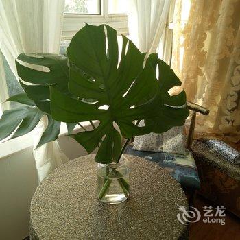 兰州柴雪晶公寓(2号店)酒店提供图片