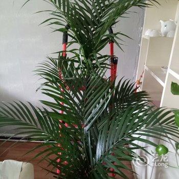 兰州柴雪晶公寓(2号店)酒店提供图片