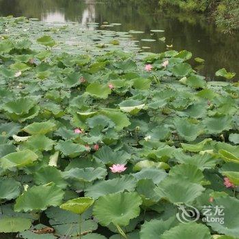 许昌花都林家小院(3号店)酒店提供图片