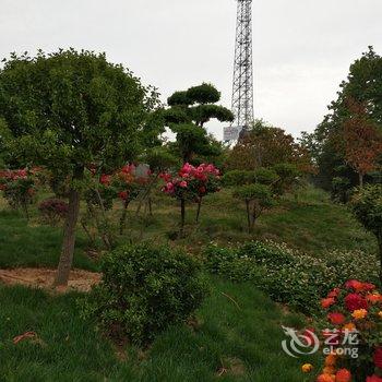 许昌花都林家小院(3号店)酒店提供图片