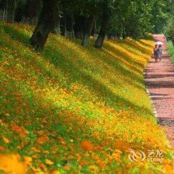 盐官中山旅馆酒店提供图片