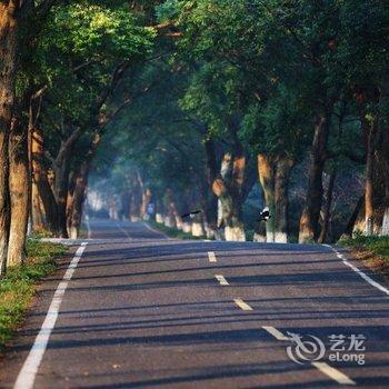 盐官中山旅馆酒店提供图片