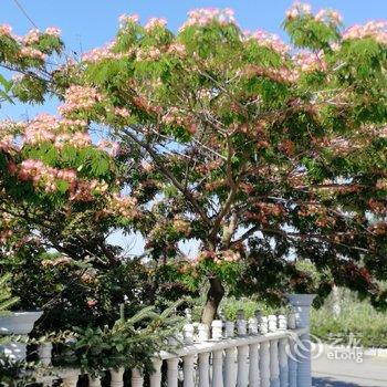 威海成山头神雕山动物海驴岛国际海滨浴场公寓(开元东路分店)酒店提供图片