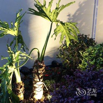 和顺仕和小院客栈酒店提供图片