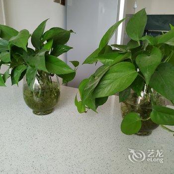 酒泉刘三姐的家庭公寓(3号店)酒店提供图片