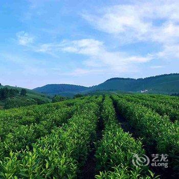 长兴云町茶宿酒店提供图片