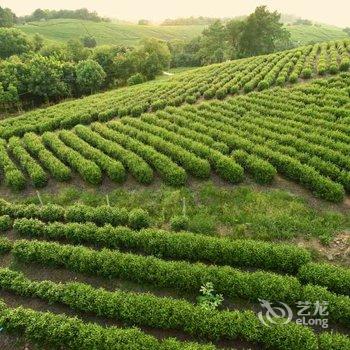 长兴云町茶宿酒店提供图片