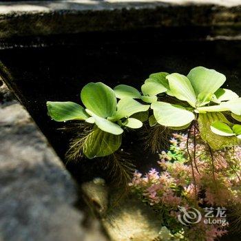 建水望云归酒店酒店提供图片