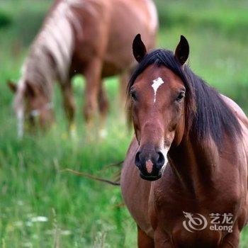 花筑·五台山山水竹林客栈酒店提供图片