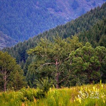 花筑·五台山山水竹林客栈酒店提供图片