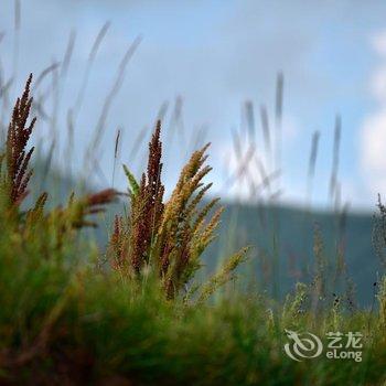 花筑·五台山山水竹林客栈酒店提供图片