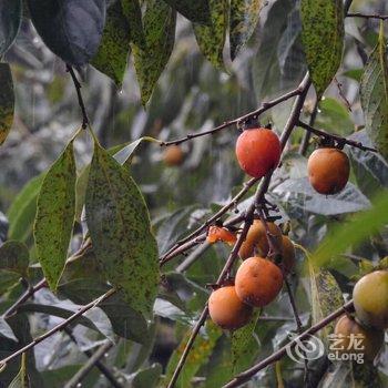 宁德龙潭驿客栈酒店提供图片