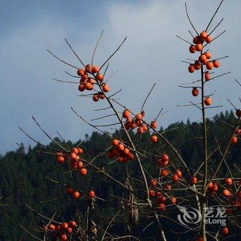 宁德龙潭驿客栈酒店提供图片