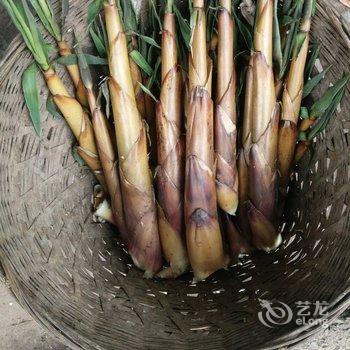 洪雅聚友园民宿酒店提供图片