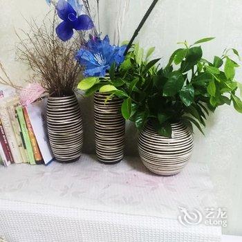 乐山茉莉花开?公寓(乐高东路分店)酒店提供图片