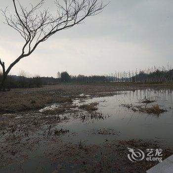 溧阳寻然乐居民宿酒店提供图片