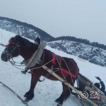 大兴安岭牟林涛农家乐酒店提供图片