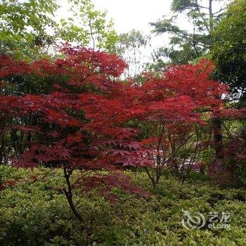 莲花居士公寓(启东长岛大道店)酒店提供图片