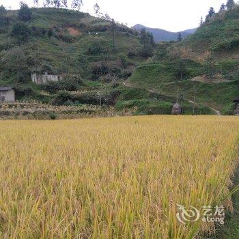 雷山啊条客栈酒店提供图片