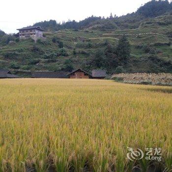 雷山啊条客栈酒店提供图片