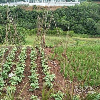 神农架小团子农庄酒店提供图片