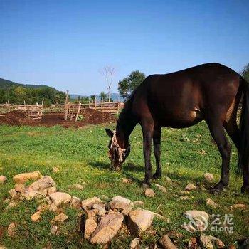 赤峰与山与舍特色民宿酒店提供图片