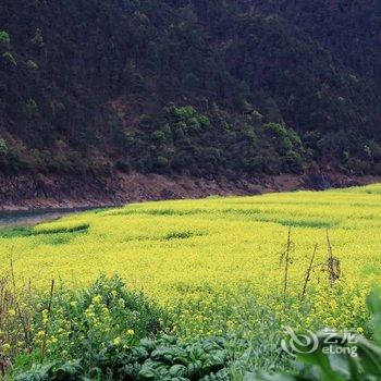 丽水数星星特色民宿酒店提供图片